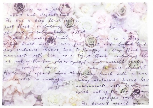 Pergament / Vellum transparent Rosen und Schrift A4 1 Bogen