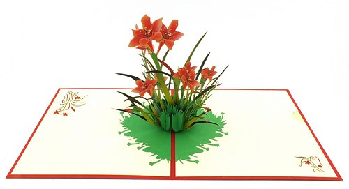 Popup Karte Blumen 15 x 15 cm