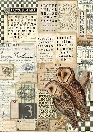 Stamperia Rice Papier Alchemy Owls A4 1 Bogen