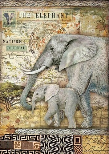 Stamperia Rice Papier Savana The Elephant A4 1 Bogen